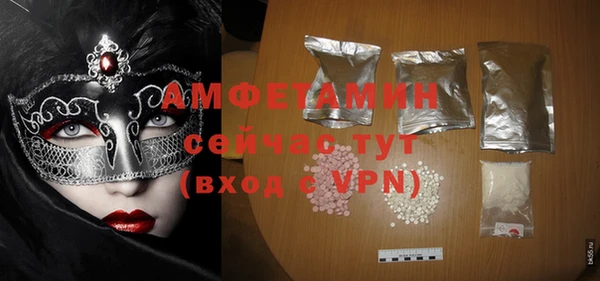 стаф Ельня