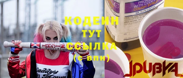 стаф Ельня