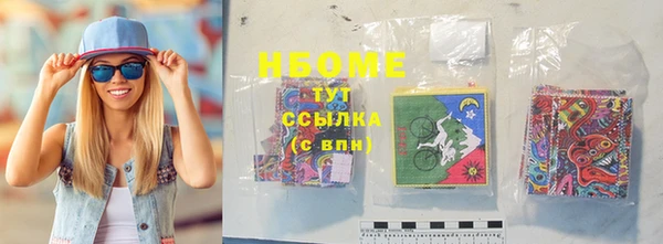 стаф Ельня