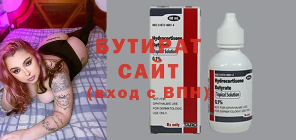 стаф Ельня