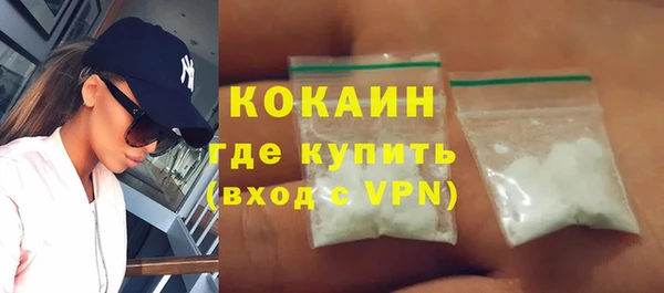 стаф Ельня