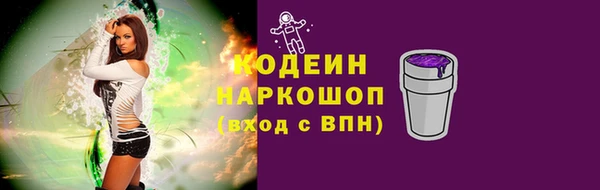 стаф Ельня
