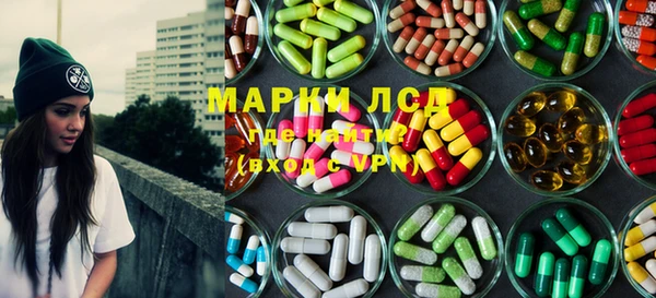 стаф Ельня