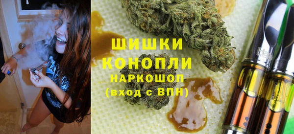 стаф Ельня