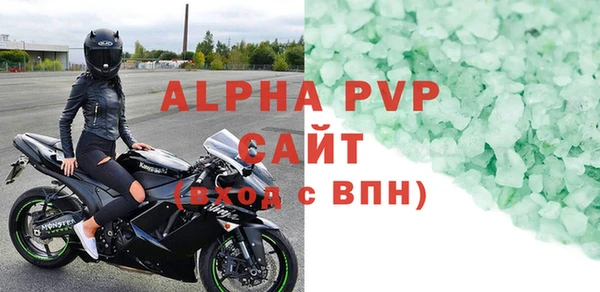 стаф Ельня