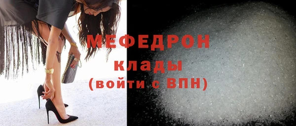 стаф Ельня