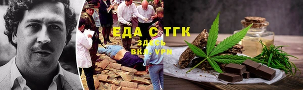 стаф Ельня
