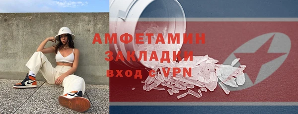 стаф Ельня