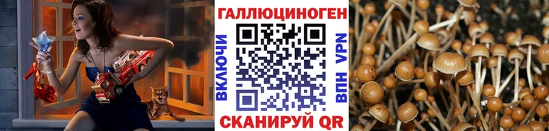 где найти наркотики  Емва  MEGA ССЫЛКА  Псилоцибиновые грибы Cubensis 